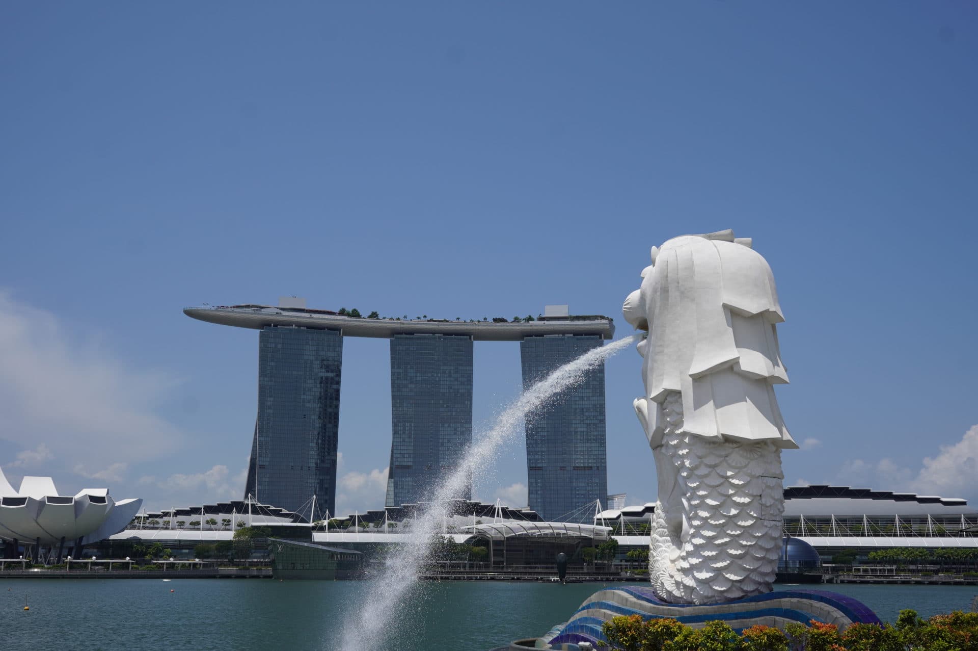 【2022年8月】コロナ渦の海外旅行!最新シンガポール入国準備